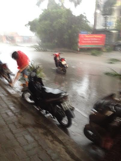 [-]Hà[-]Nội:[-]Mưa[-]lớn[-]khiến[-]cây[-]cối[-]bật[-]gốc,[-]nước[-]ngập[-]đường